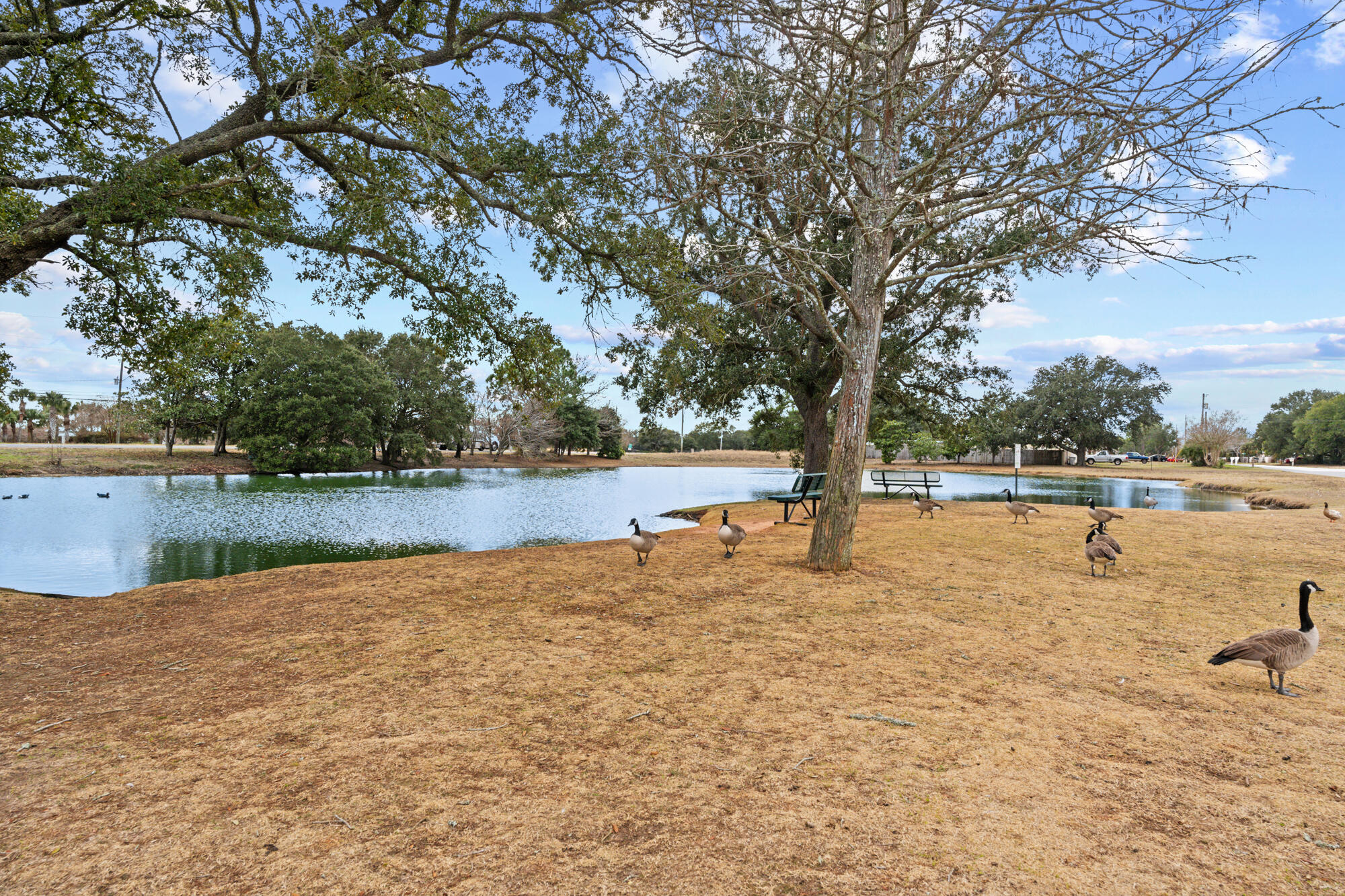 7224 Riverview Road Navarre, FL 32566 - Photo 67 of 75 holley by the sea park-001awp