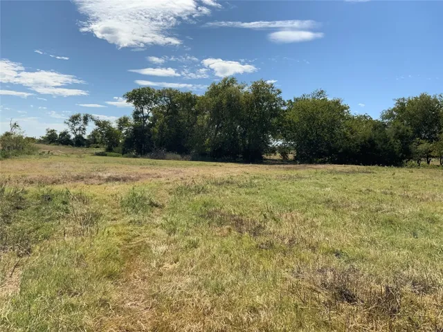 a view of a field with an trees in the background