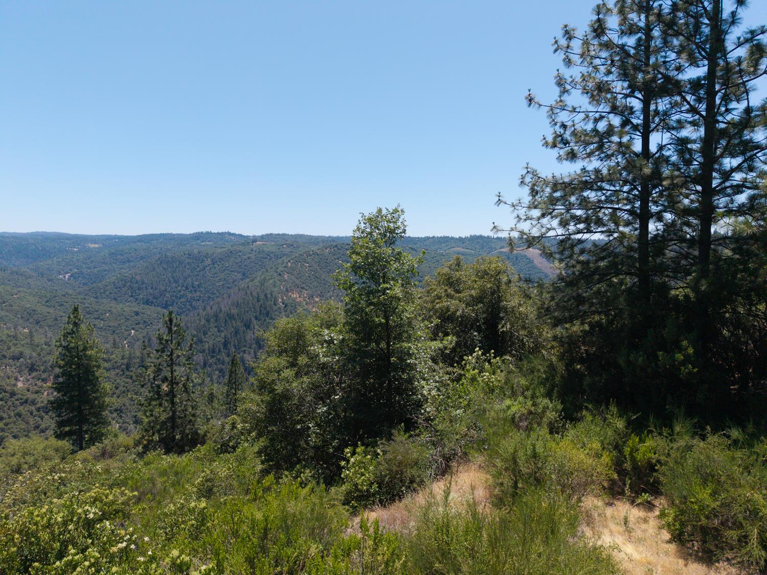 6621 Light Canyon Road Placerville, CA 95667 - Photo 1 of 1 Gallery Image 1