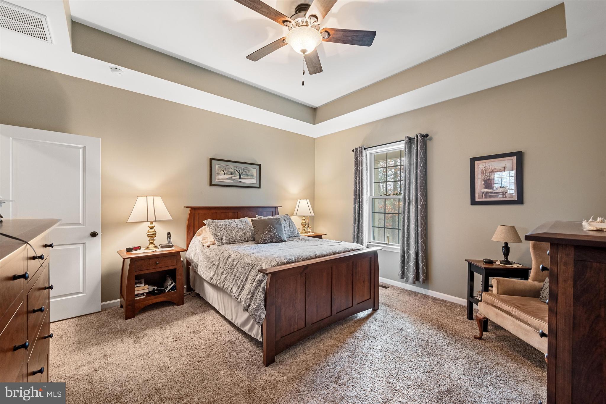 921 Armel Road White Post, VA 22663 - Photo 14 of 36 Priary Bedroom with Trey Ceiling