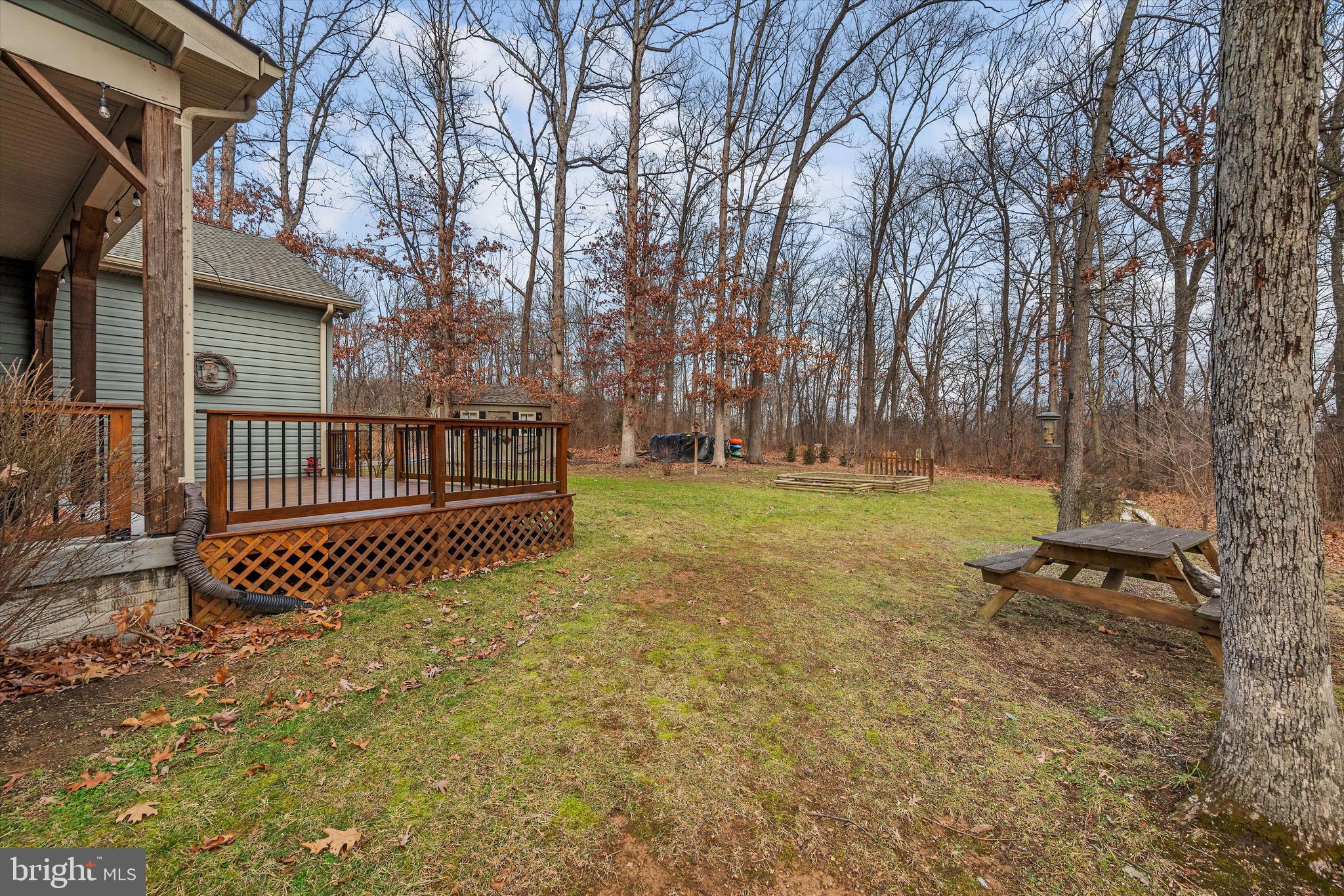 921 Armel Road White Post, VA 22663 - Photo 31 of 36 Side and Back Yard