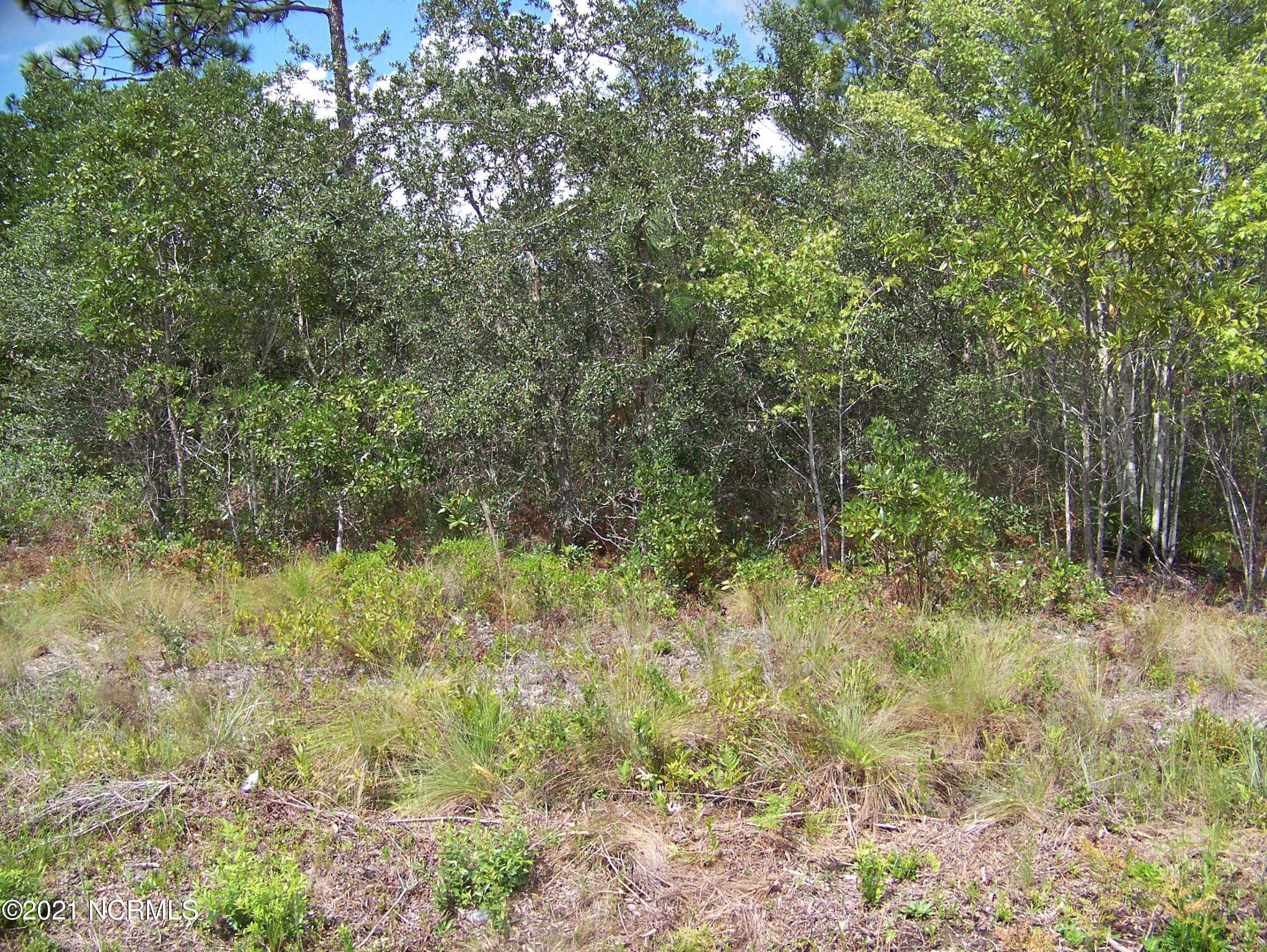486 Prospect Road Southport, NC 28461 - Photo 1 of 1 wooded