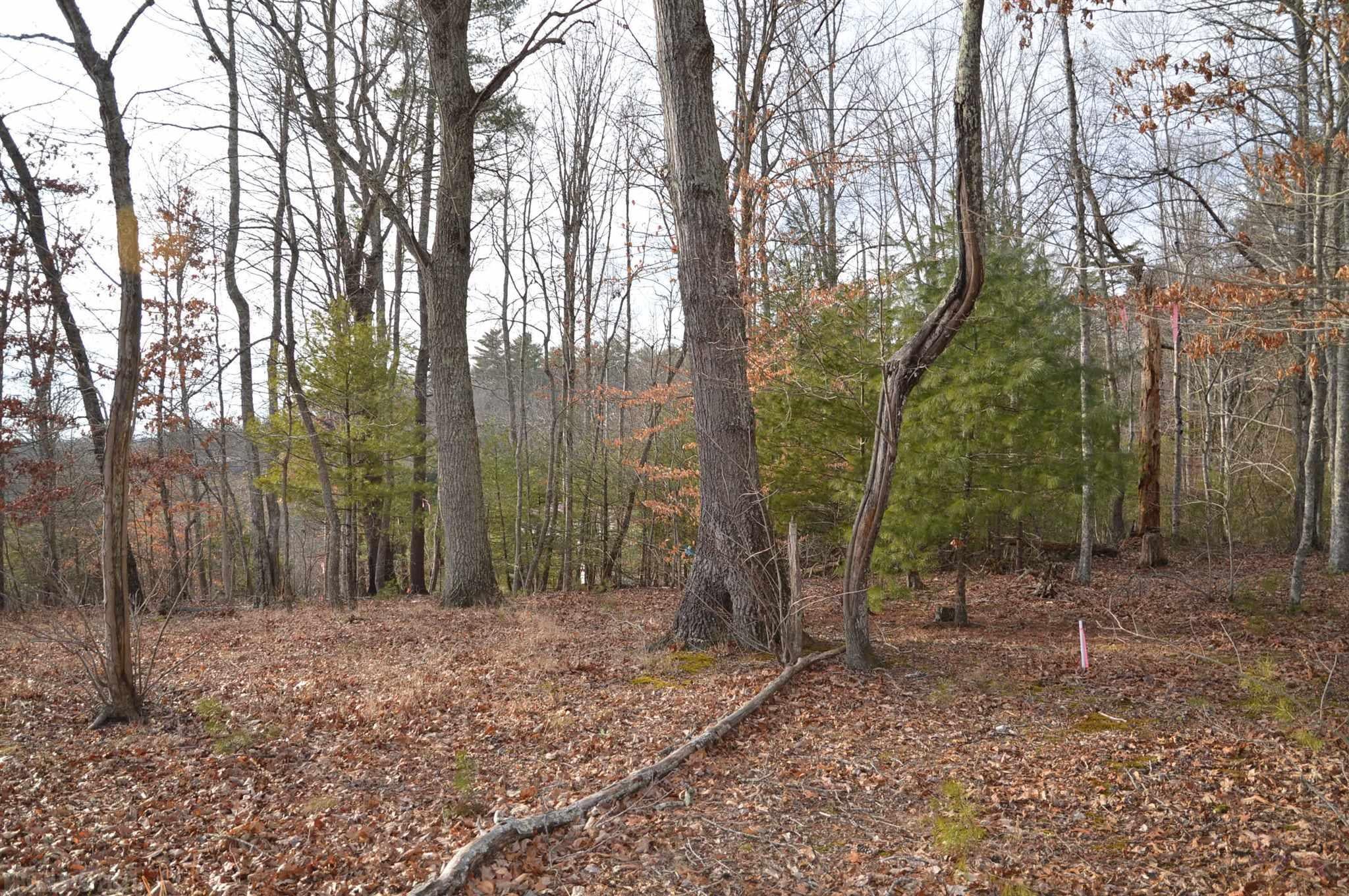 2201 Shale Road Blacksburg, VA 24060 - Photo 8 of 12 Gallery Image 8
