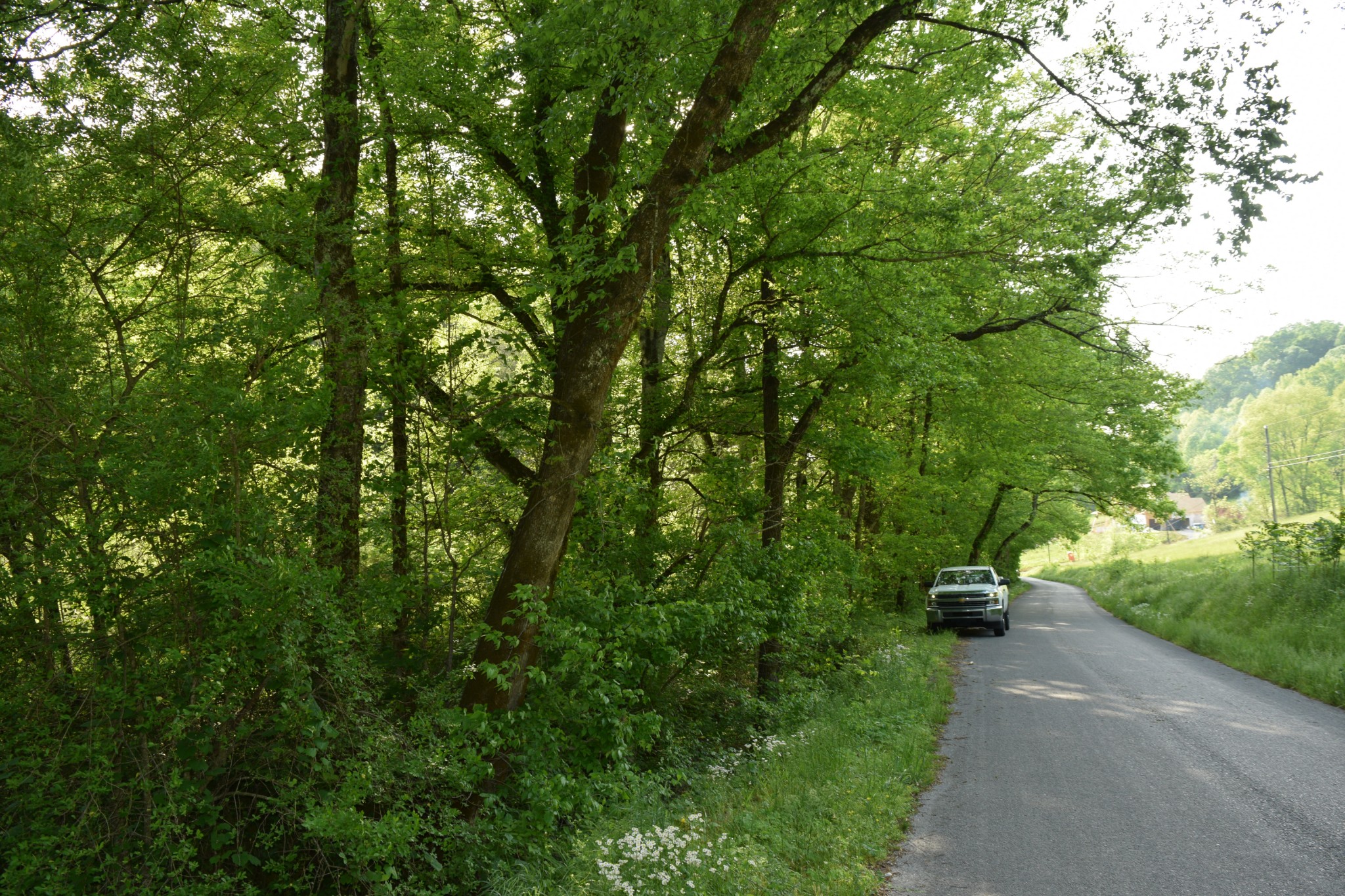 971 Houston Thomas Road Manchester, TN 37355 - Photo 5 of 7 a view of a street with a trees