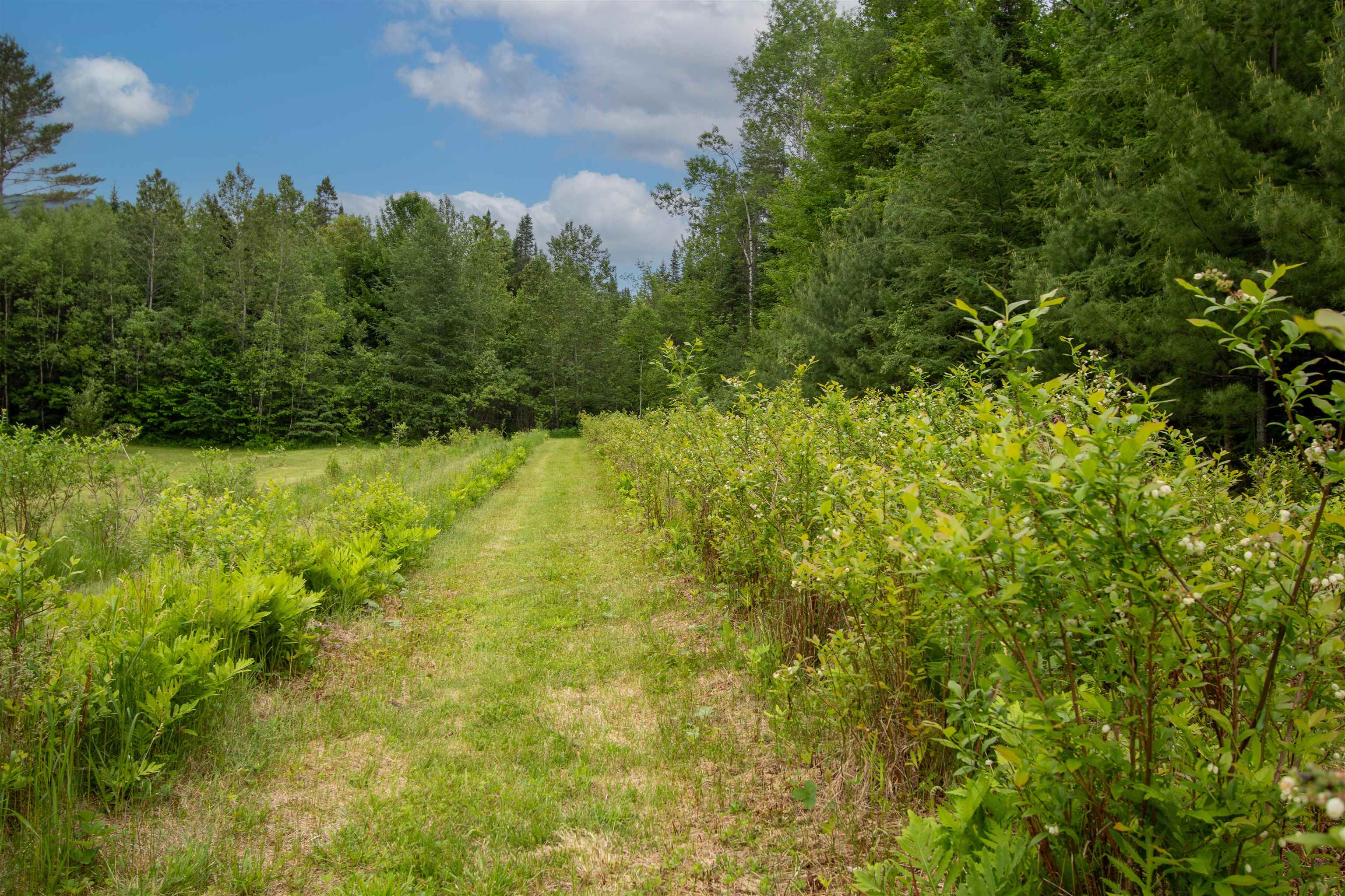 23 Hummingbird Lane Concord, VT 05824 - Photo 45 of 53 Gallery Image 45