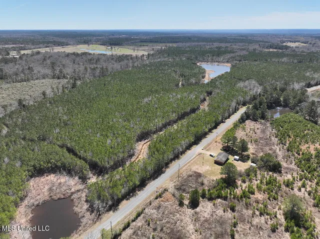 $90,000 | 7 East Of Quit-desoto Road, Shubuta, MS 39360