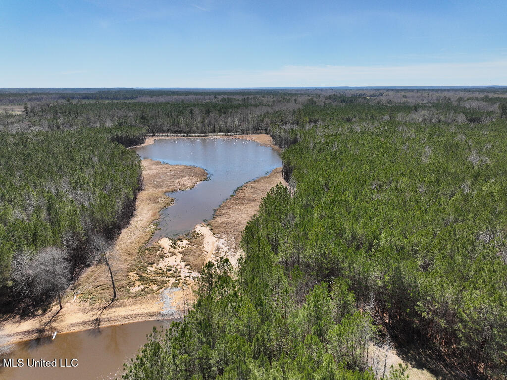 7 East Of Quit-desoto Road Shubuta, MS 39360 - Photo 11 of 22 10