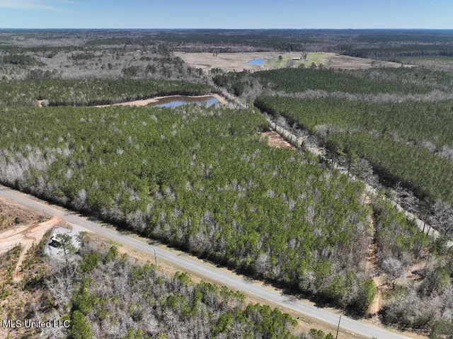 $90,000 | 7 East Of Quit-desoto Road, Shubuta, MS 39360