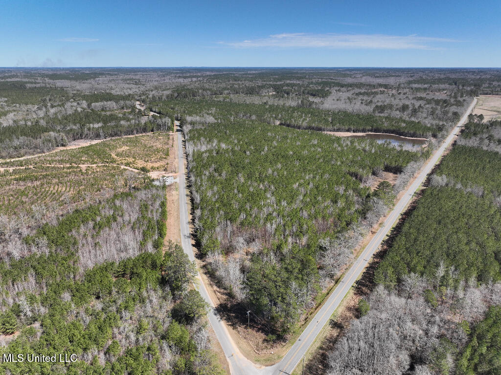 7 East Of Quit-desoto Road Shubuta, MS 39360 - Photo 14 of 22 13