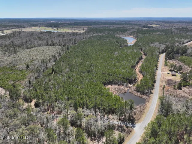 $90,000 | 7 East Of Quit-desoto Road, Shubuta, MS 39360