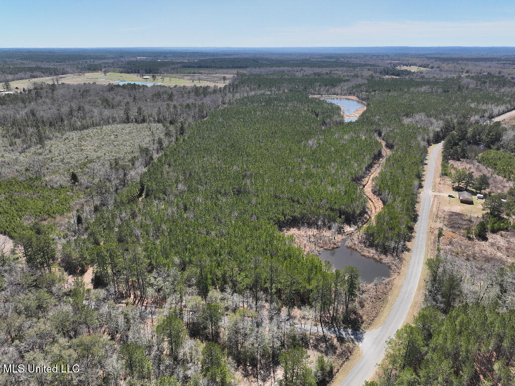 7 East Of Quit-desoto Road Shubuta, MS 39360 - Photo 15 of 22 14
