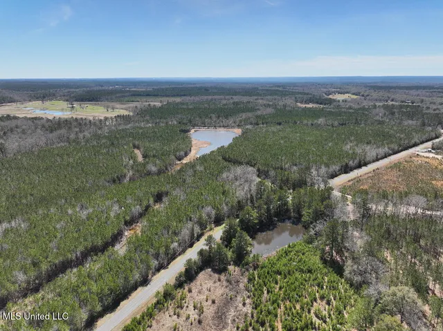 $90,000 | 7 East Of Quit-desoto Road, Shubuta, MS 39360