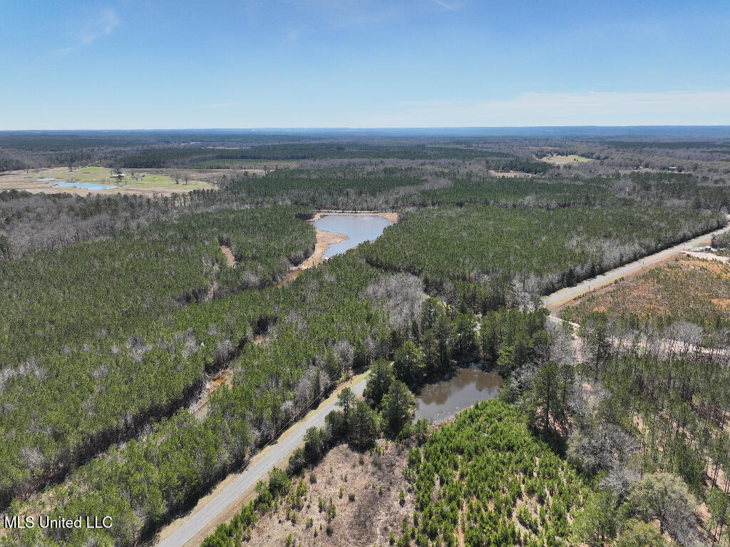 7 East Of Quit-desoto Road Shubuta, MS 39360 - Photo 16 of 22 15