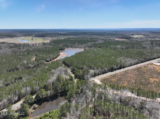 $90,000 | 7 East Of Quit-desoto Road, Shubuta, MS 39360