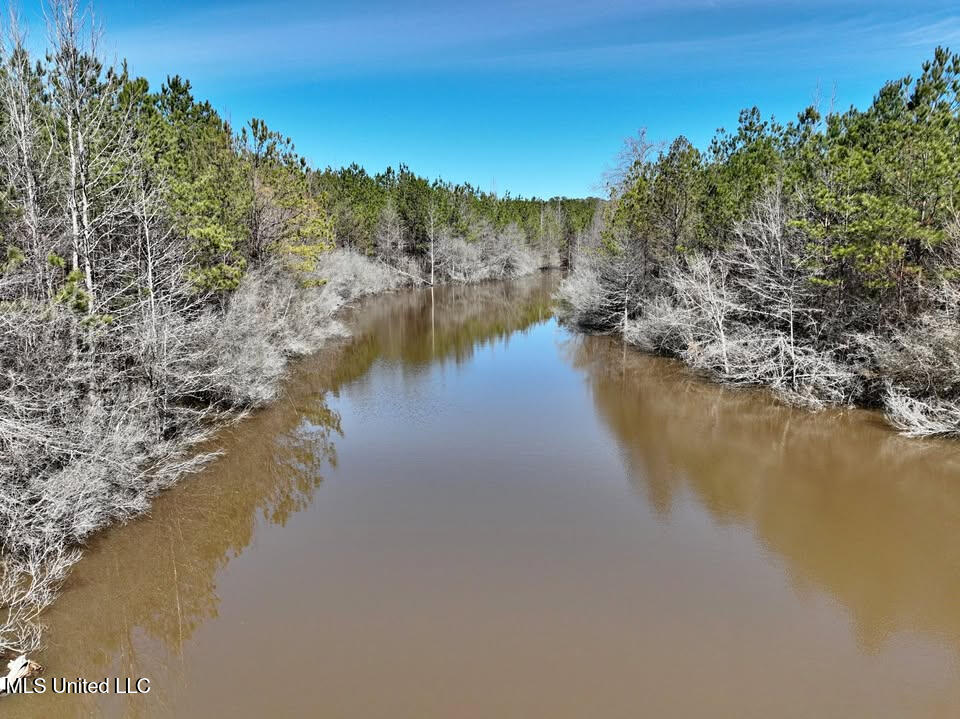 7 East Of Quit-desoto Road Shubuta, MS 39360 - Photo 18 of 22 17