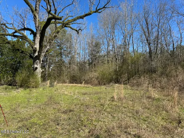 $90,000 | 7 East Of Quit-desoto Road, Shubuta, MS 39360