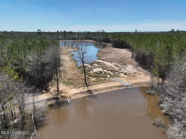 $90,000 | 7 East Of Quit-desoto Road, Shubuta, MS 39360