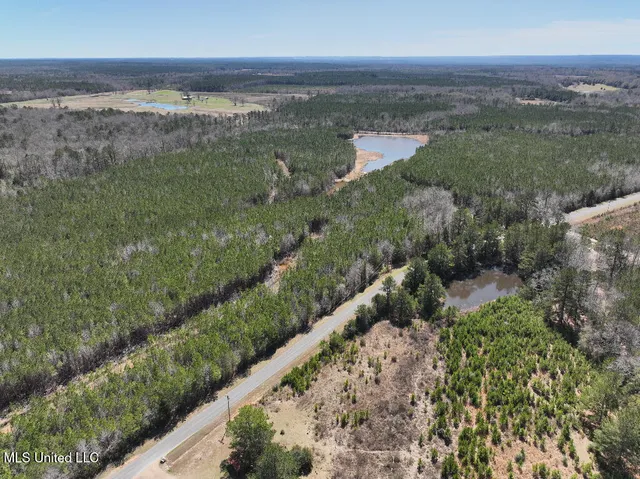$90,000 | 7 East Of Quit-desoto Road, Shubuta, MS 39360