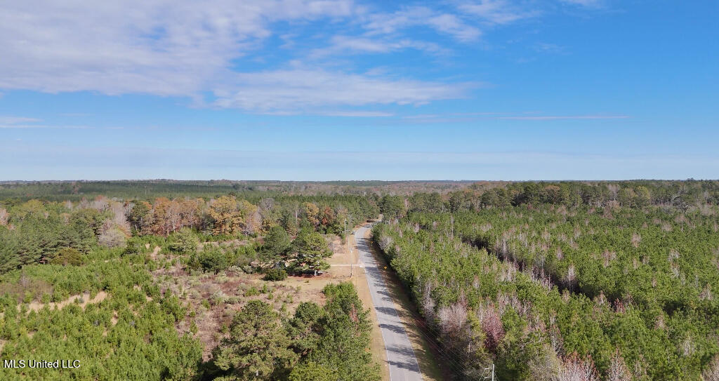 7 East Of Quit-desoto Road Shubuta, MS 39360 - Photo 21 of 22 20