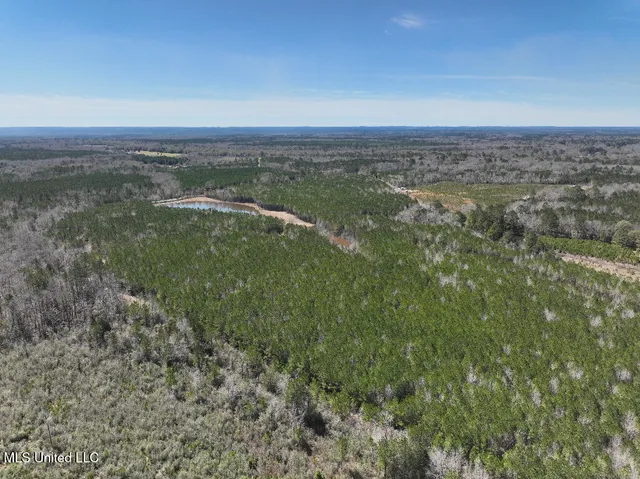 $90,000 | 7 East Of Quit-desoto Road, Shubuta, MS 39360