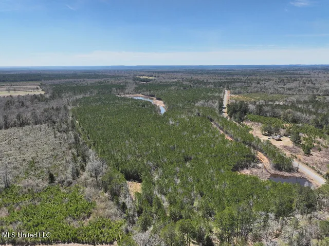 $90,000 | 7 East Of Quit-desoto Road, Shubuta, MS 39360