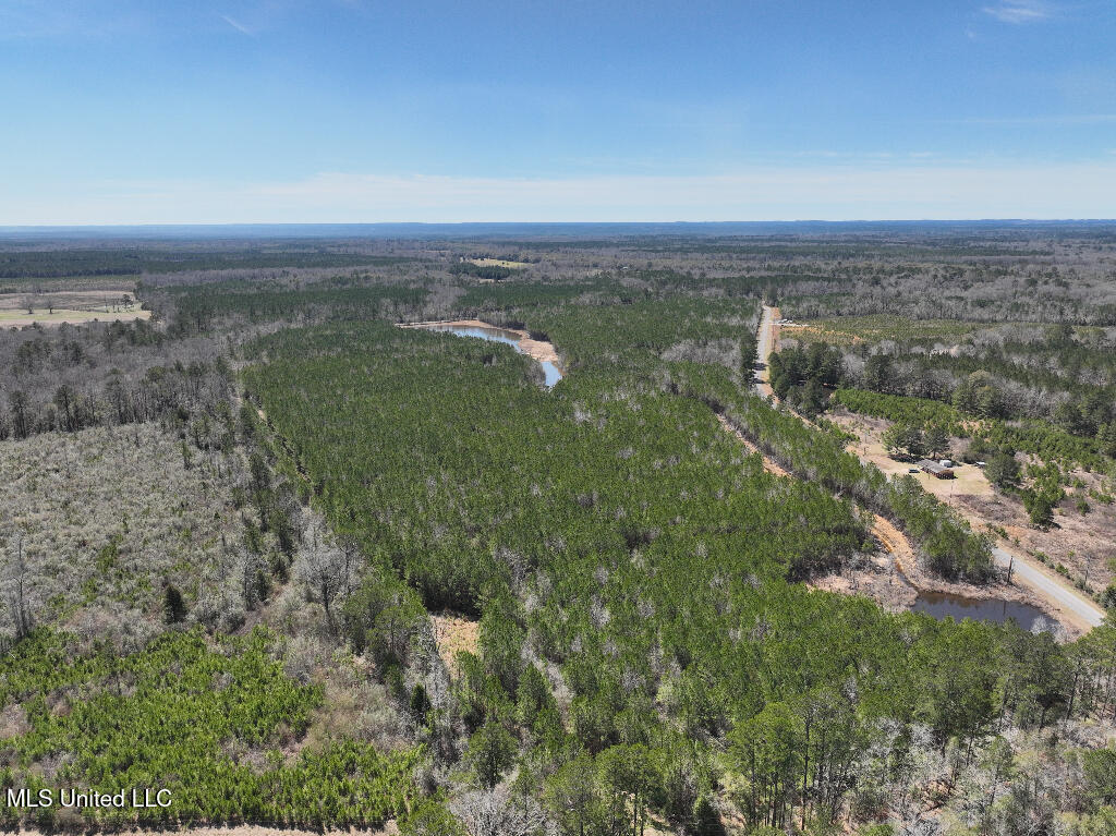 7 East Of Quit-desoto Road Shubuta, MS 39360 - Photo 4 of 22 03