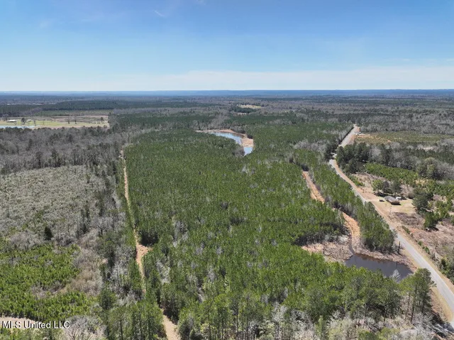 $90,000 | 7 East Of Quit-desoto Road, Shubuta, MS 39360