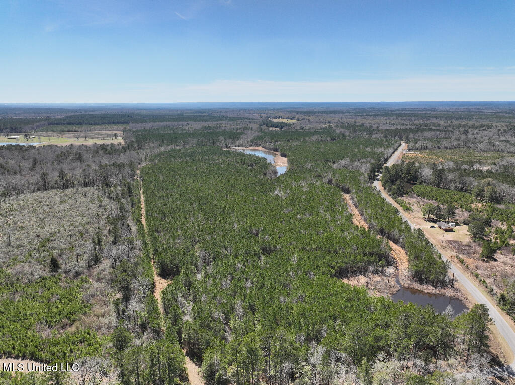 7 East Of Quit-desoto Road Shubuta, MS 39360 - Photo 5 of 22 04