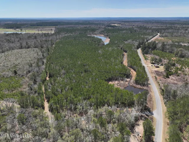 $90,000 | 7 East Of Quit-desoto Road, Shubuta, MS 39360