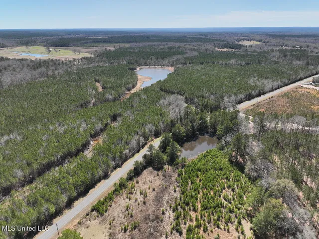 $90,000 | 7 East Of Quit-desoto Road, Shubuta, MS 39360