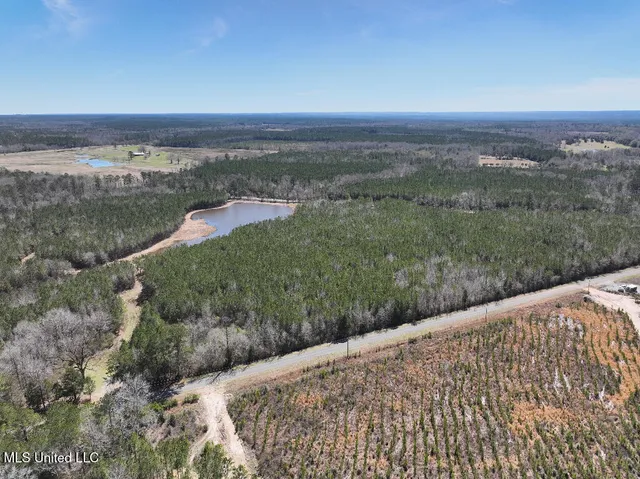 $90,000 | 7 East Of Quit-desoto Road, Shubuta, MS 39360