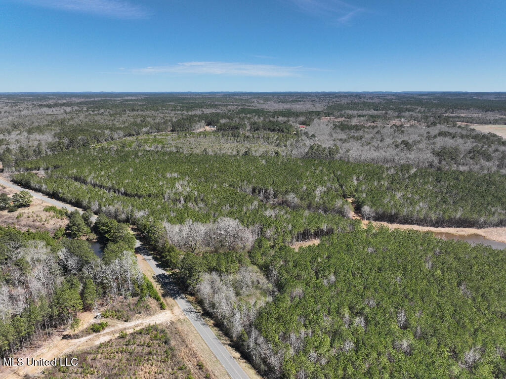 7 East Of Quit-desoto Road Shubuta, MS 39360 - Photo 10 of 22 09