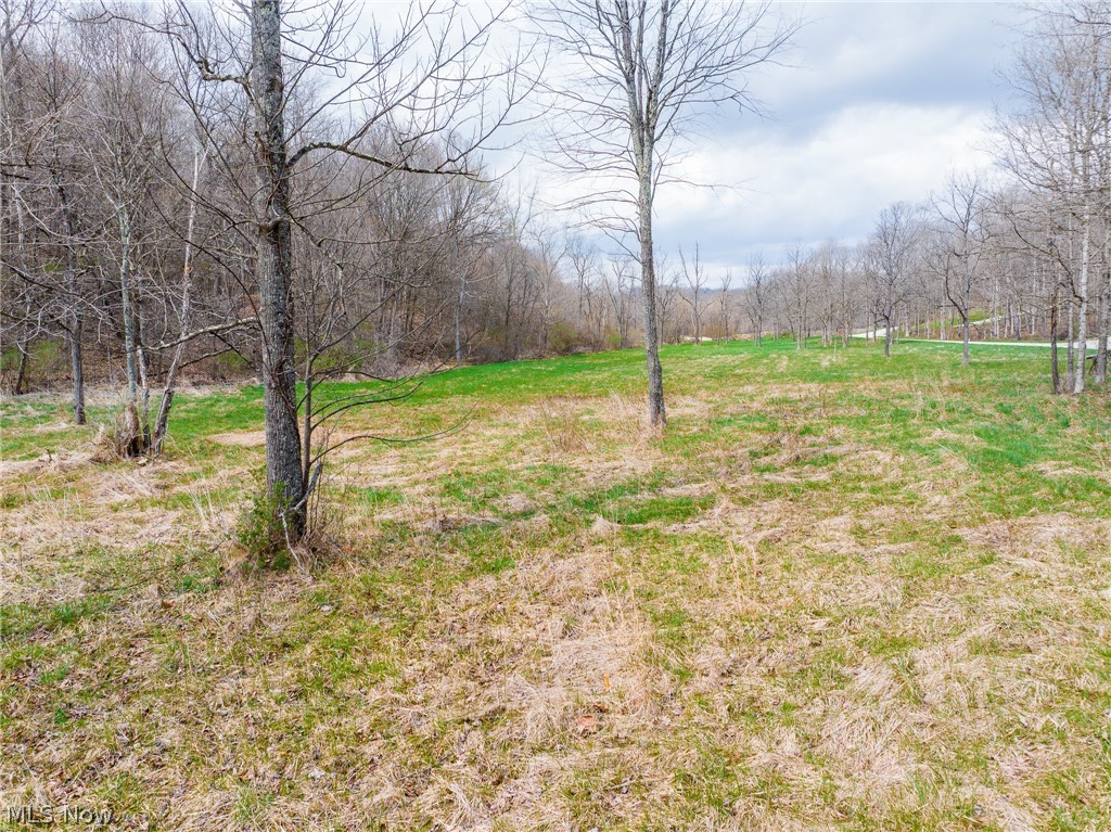 Christian Hill Road Cambridge, OH 43725 - Photo 10 of 27