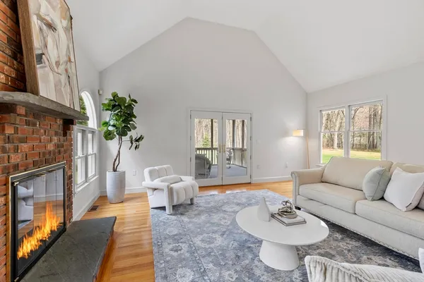 a living room with furniture potted plant and a fireplace