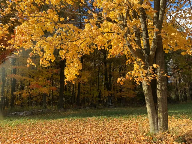 $329,900 | 5057 North Bailey Road, Coral, MI 49322