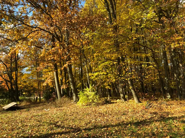 $329,900 | 5057 North Bailey Road, Coral, MI 49322