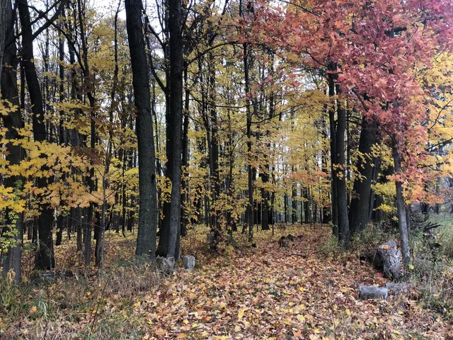 $329,900 | 5057 North Bailey Road, Coral, MI 49322