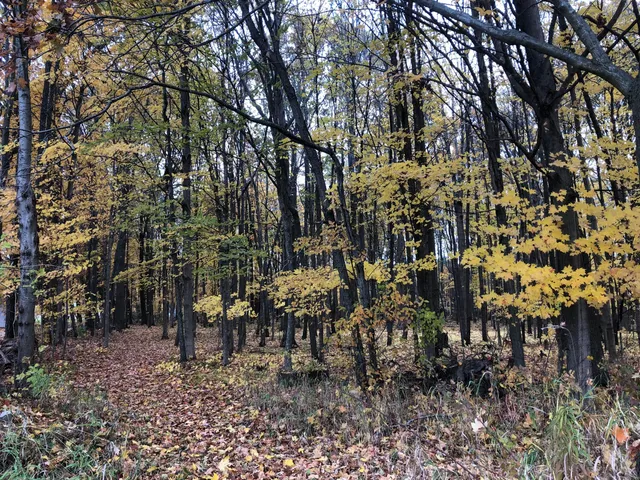 $329,900 | 5057 North Bailey Road, Coral, MI 49322