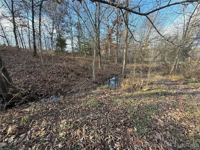 $1,400,000 | Tbd Duran Creek Avenue, Lincoln, MO 65338