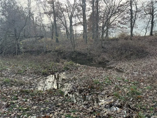 $1,400,000 | Tbd Duran Creek Avenue, Lincoln, MO 65338