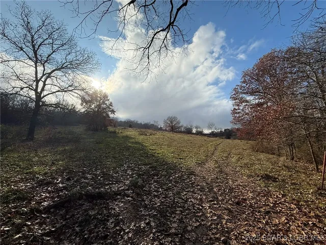 $1,400,000 | Tbd Duran Creek Avenue, Lincoln, MO 65338