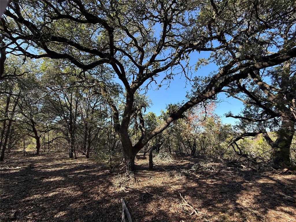 221 Ranch House Road Wimberley, TX 78676 - Photo 4 of 11 Many mature native hardwoods