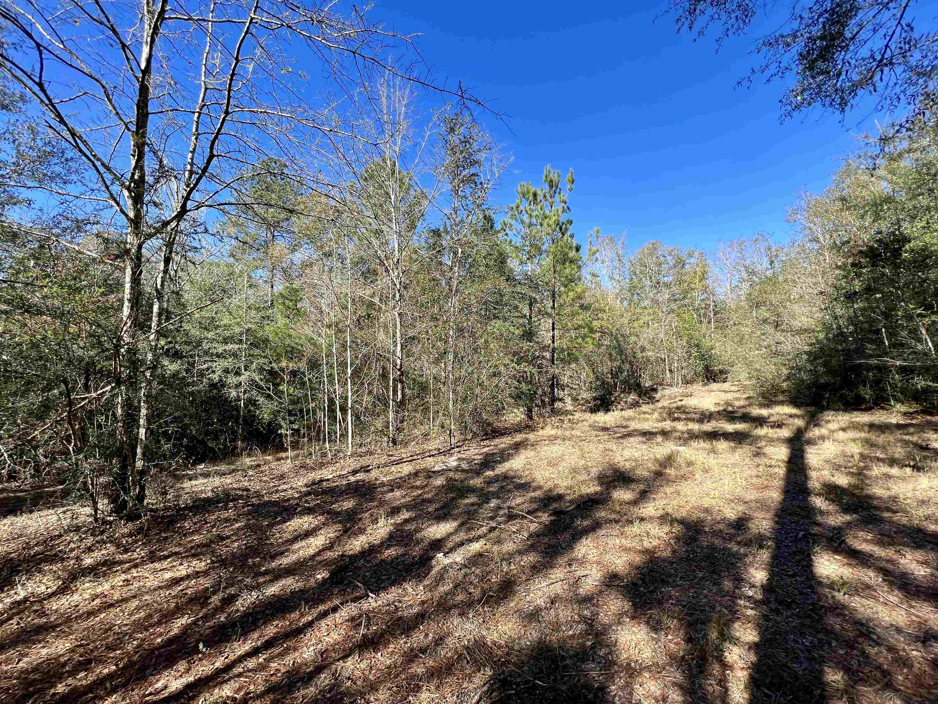 9640 Green Jordan Road Bay Minette, AL 36507 - Photo 7 of 32