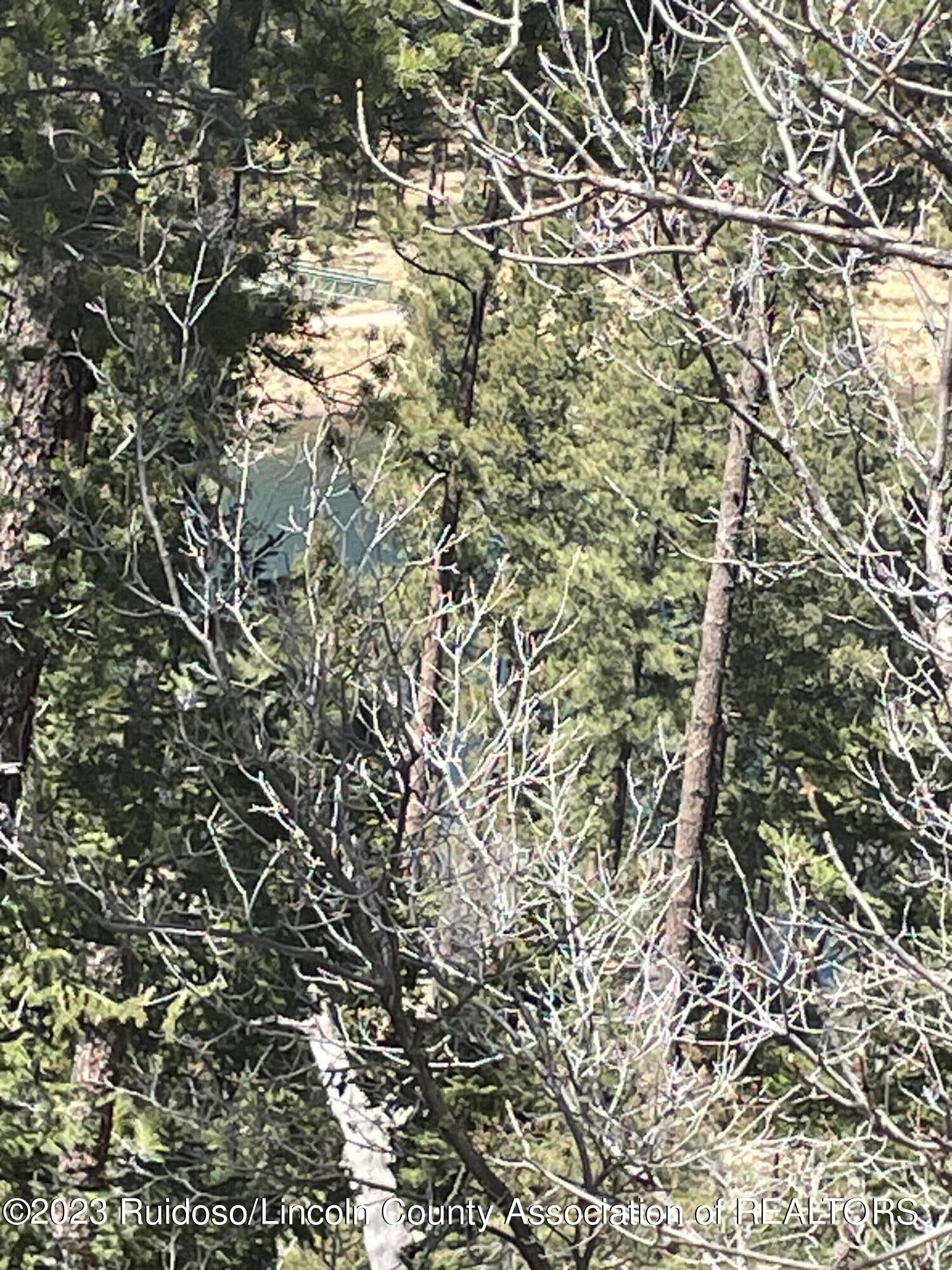 L22-23 L22-23 Via Ruidoso, NM 88345 - Photo 1 of 1 Gallery Image 1