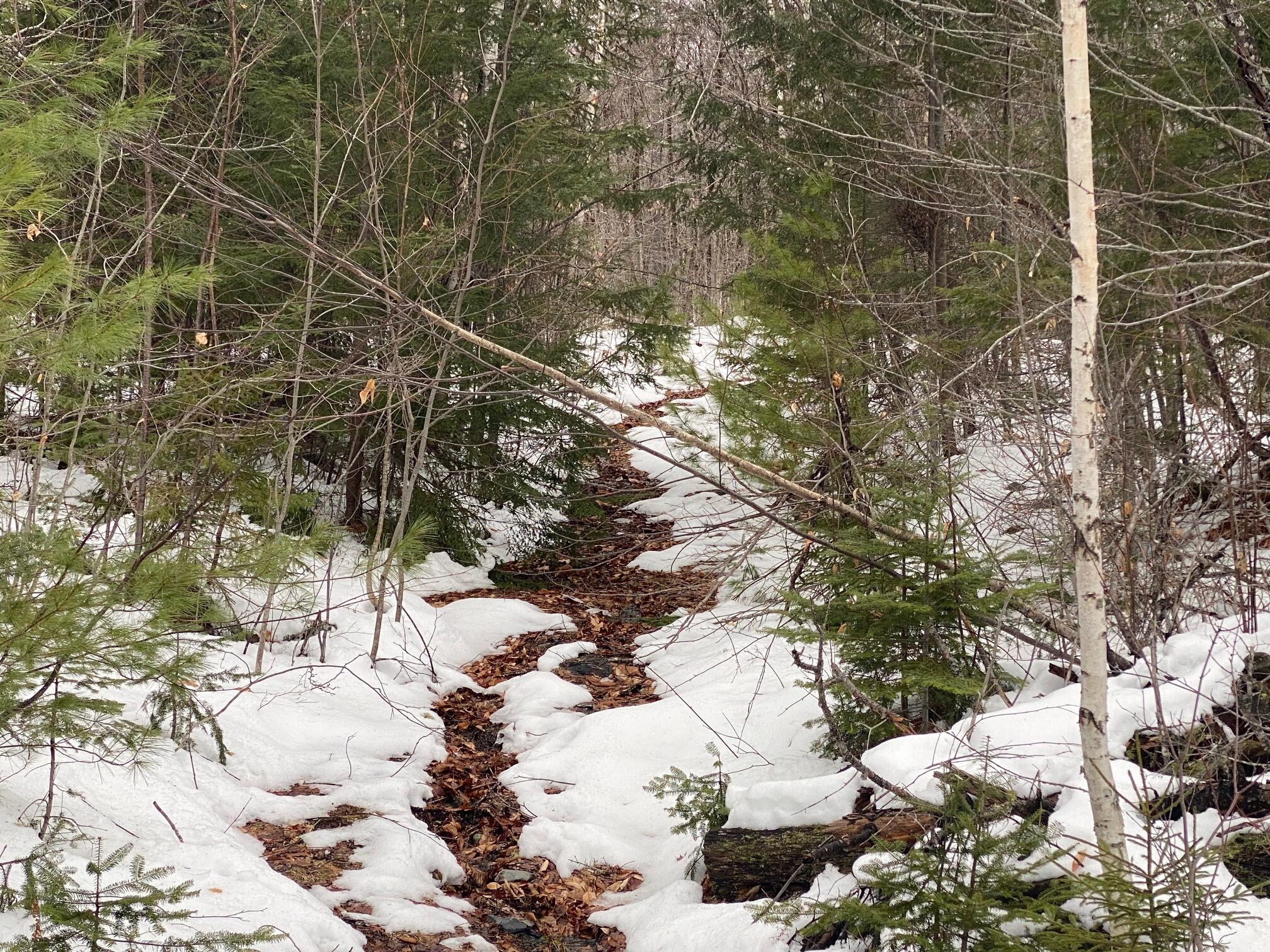 7-6 Elliotsville Road Guilford, ME 04443 - Photo 6 of 15 IMG_1987