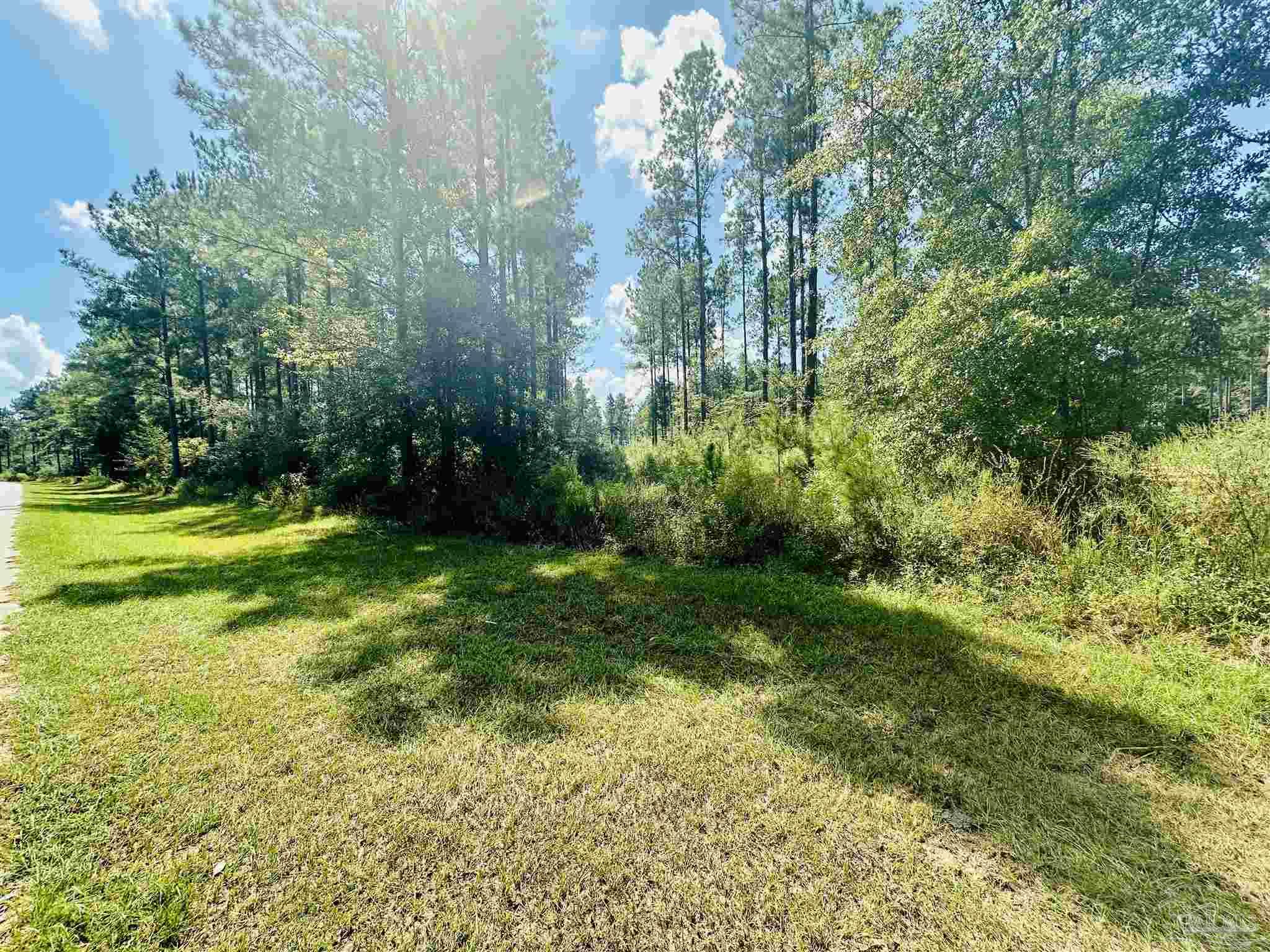 9209 Sage Frst Lane Pace, FL 32571 - Photo 11 of 26 a view of a big yard with swimming pool