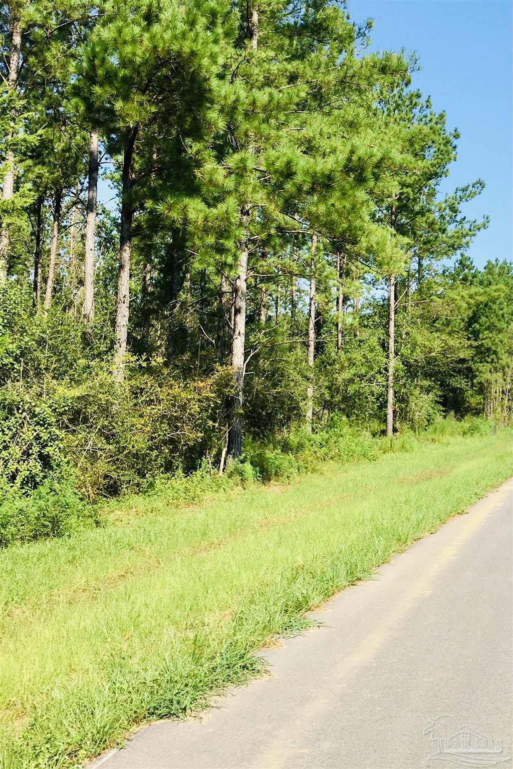 9209 Sage Frst Lane Pace, FL 32571 - Photo 15 of 26 a backyard of a house with a garden and plants