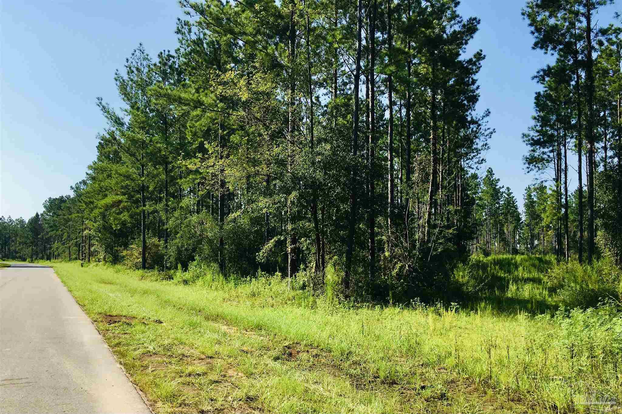 9209 Sage Frst Lane Pace, FL 32571 - Photo 18 of 26 a view of a garden