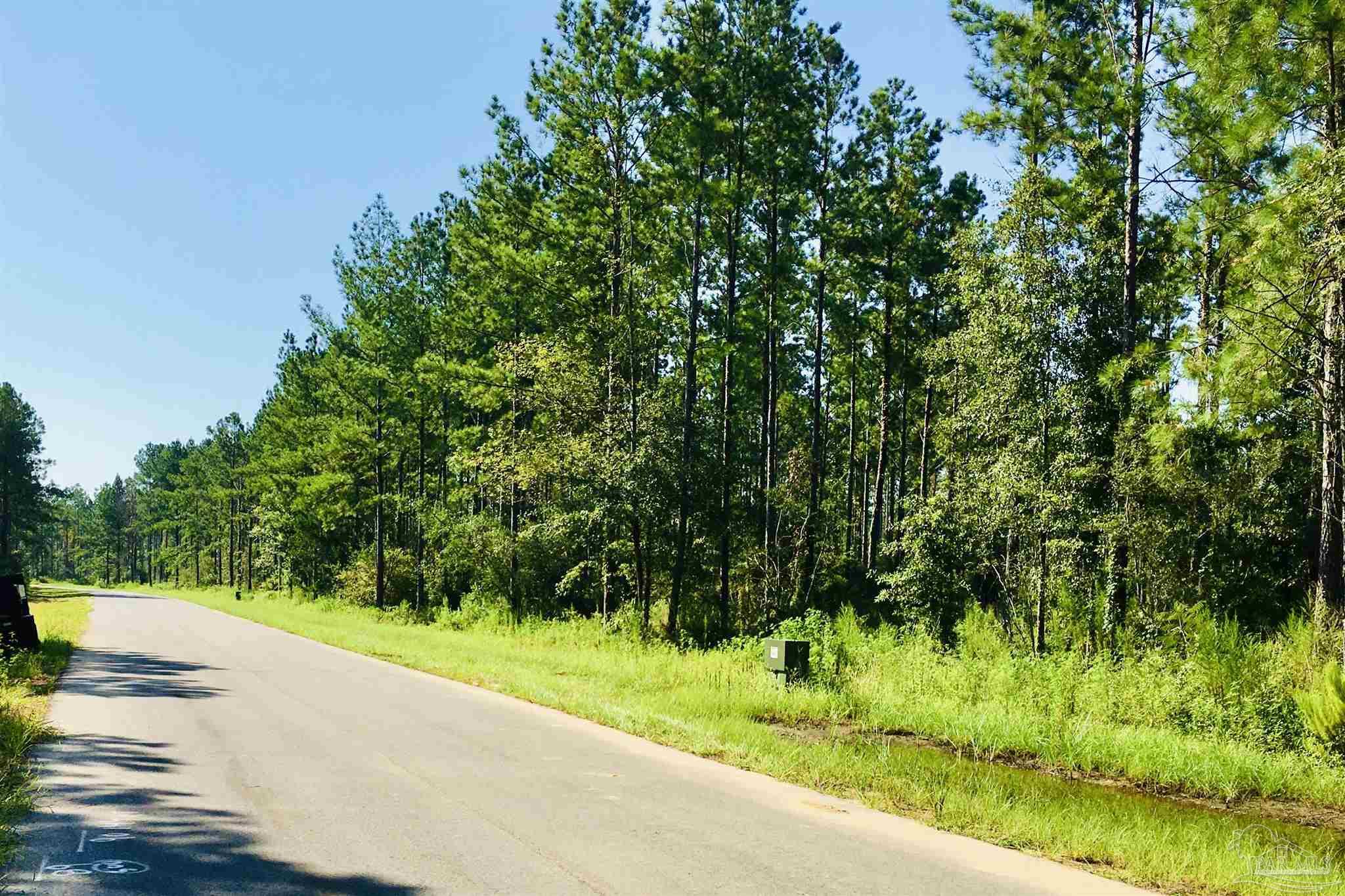 9209 Sage Frst Lane Pace, FL 32571 - Photo 20 of 26 a view of a yard