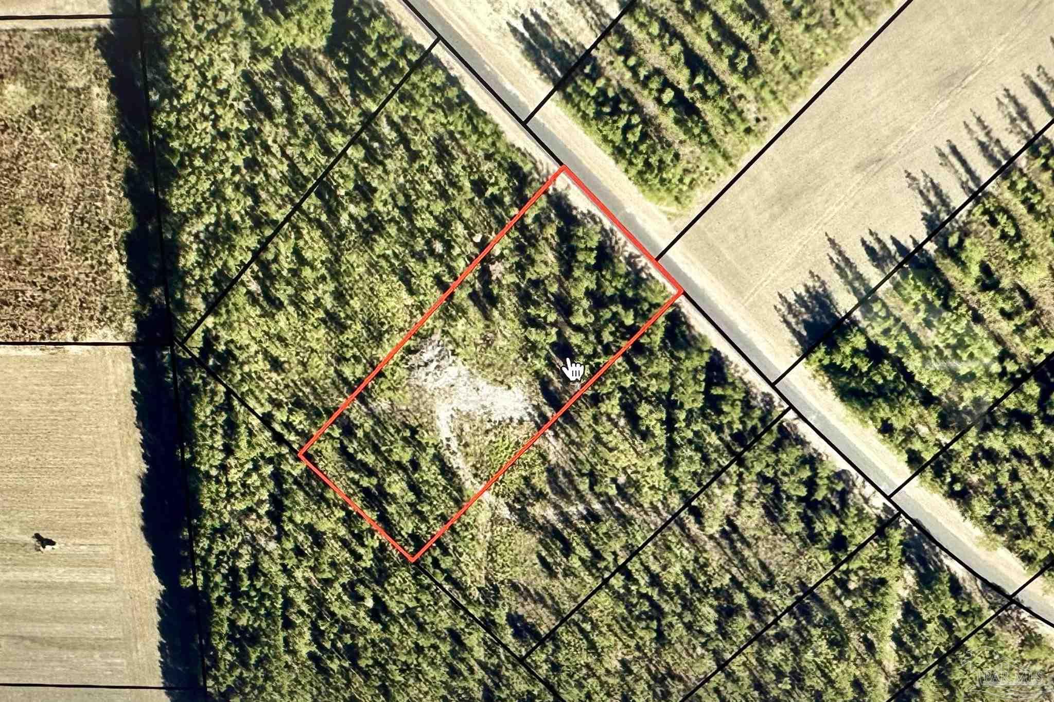 9209 Sage Frst Lane Pace, FL 32571 - Photo 22 of 26 a picture of a tree